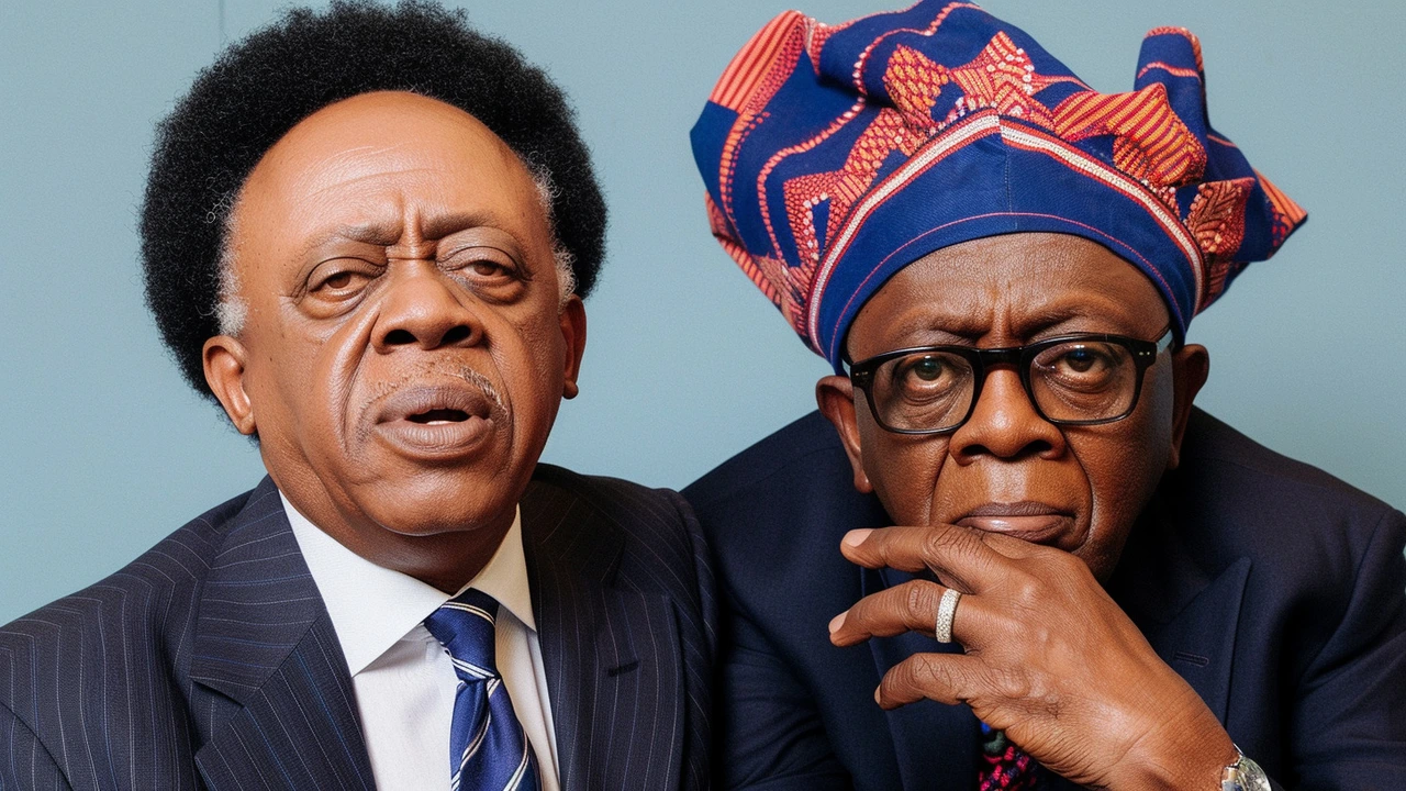 Shehu Sani Urges Tinubu to Release Detained EndSARS Protesters, Calling Him 'Father of Protest'